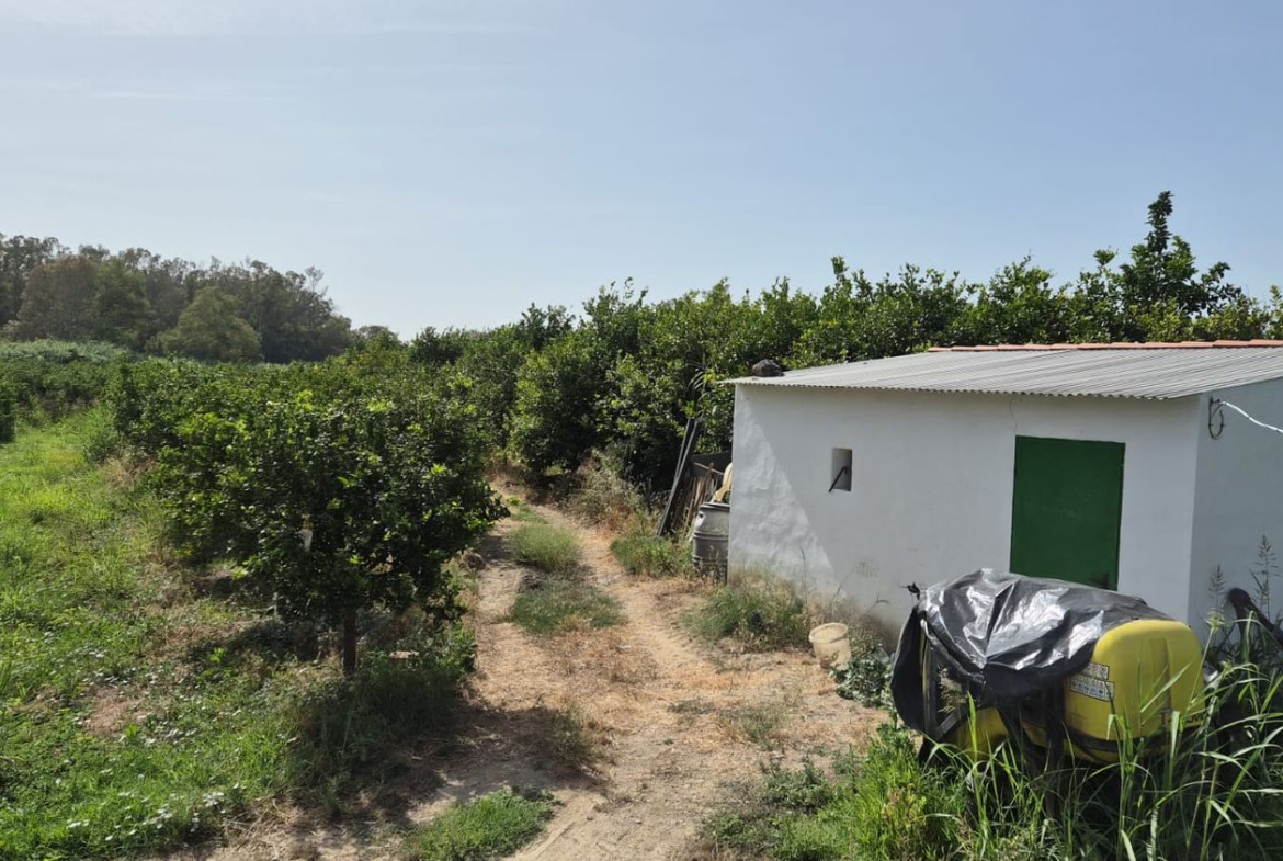 REF. DM190626PI – Inmueble en Pizarra