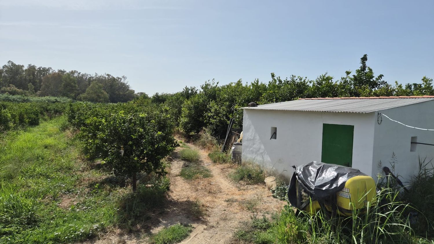 1450223059 REF. DM190626PI – Inmueble en Pizarra
