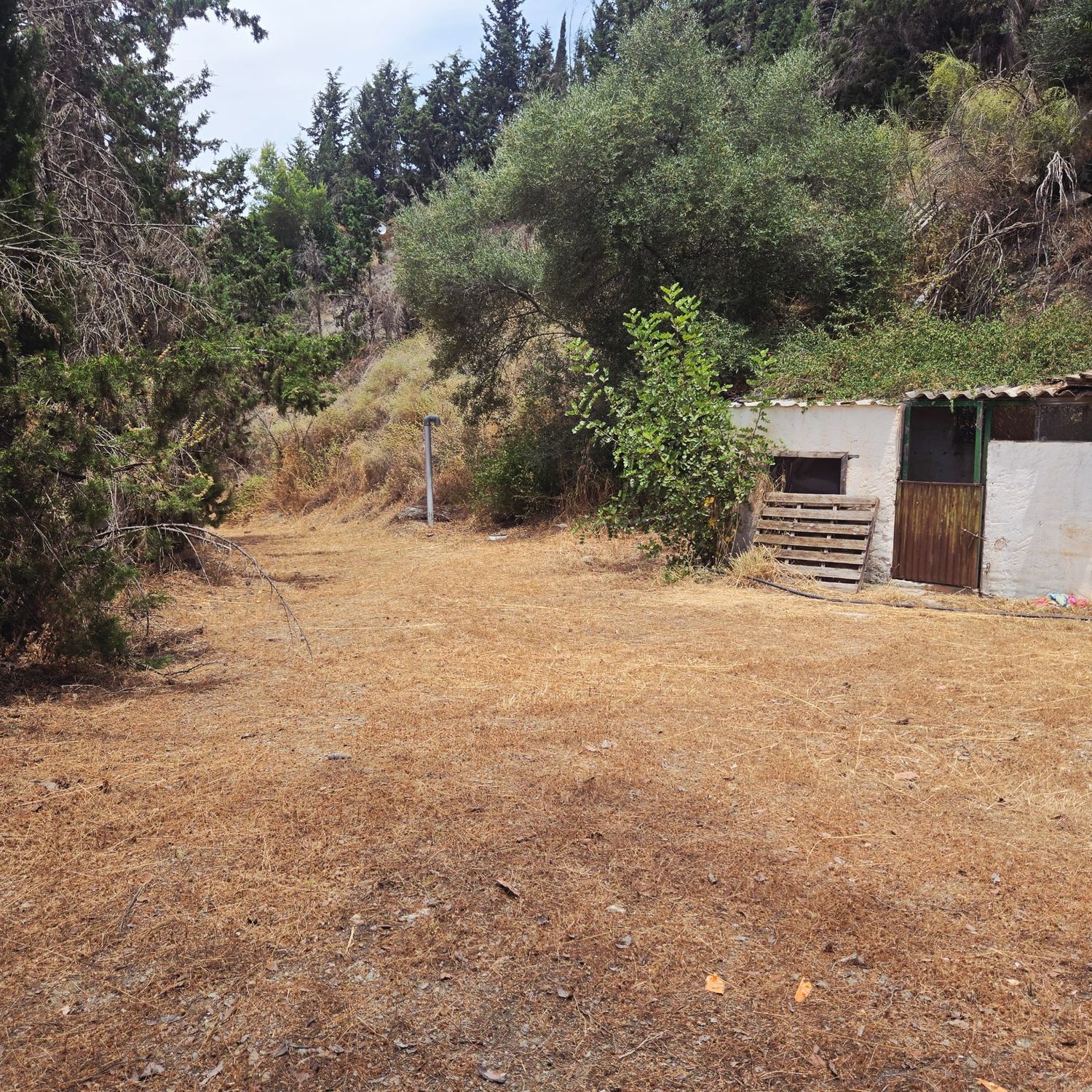 REF. DM-041225RV – Inmueble en Cotomar – Urbanizaciones