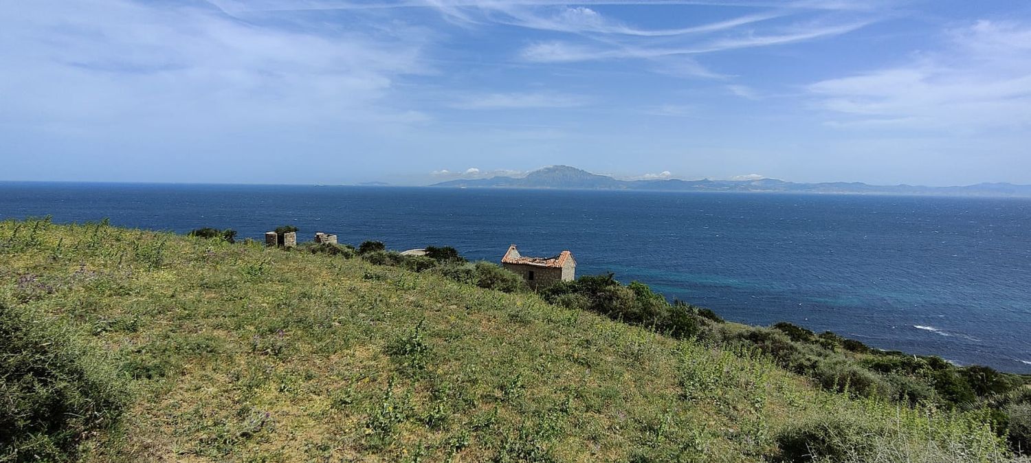 REF. LZ270626TAR – Inmueble en Tarifa