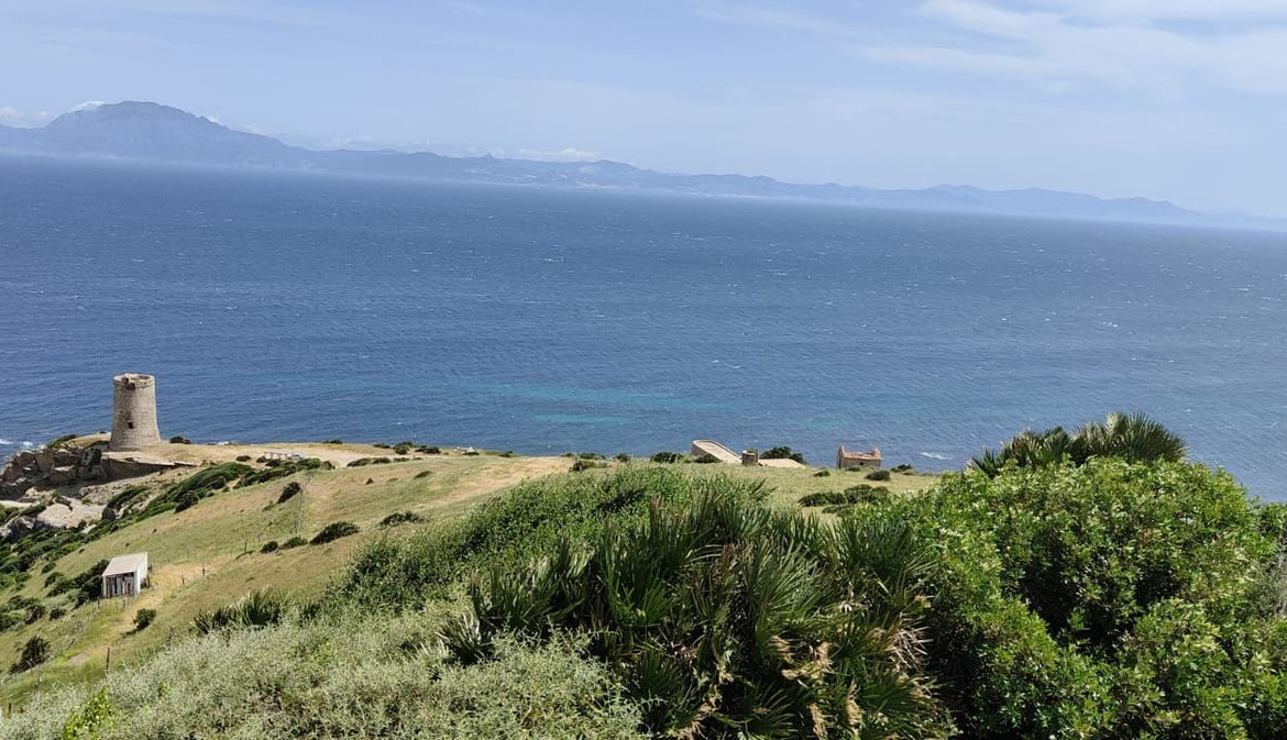 REF. LZ270626TAR – Inmueble en Tarifa