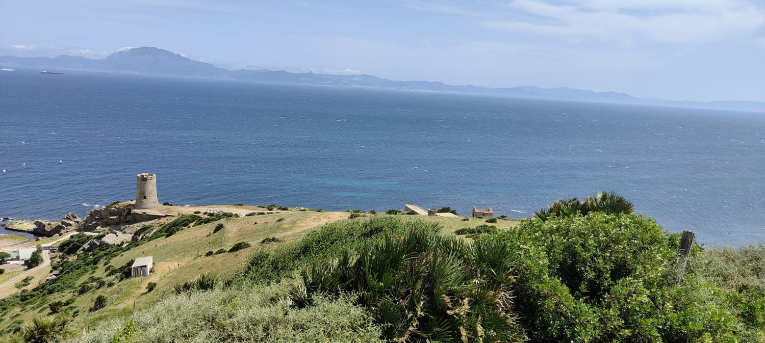 REF. LZ270626TAR – Inmueble en Tarifa