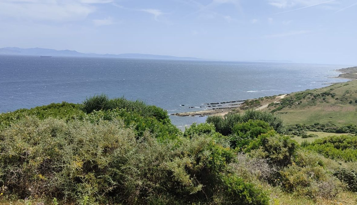 REF. LZ270626TAR – Inmueble en Tarifa