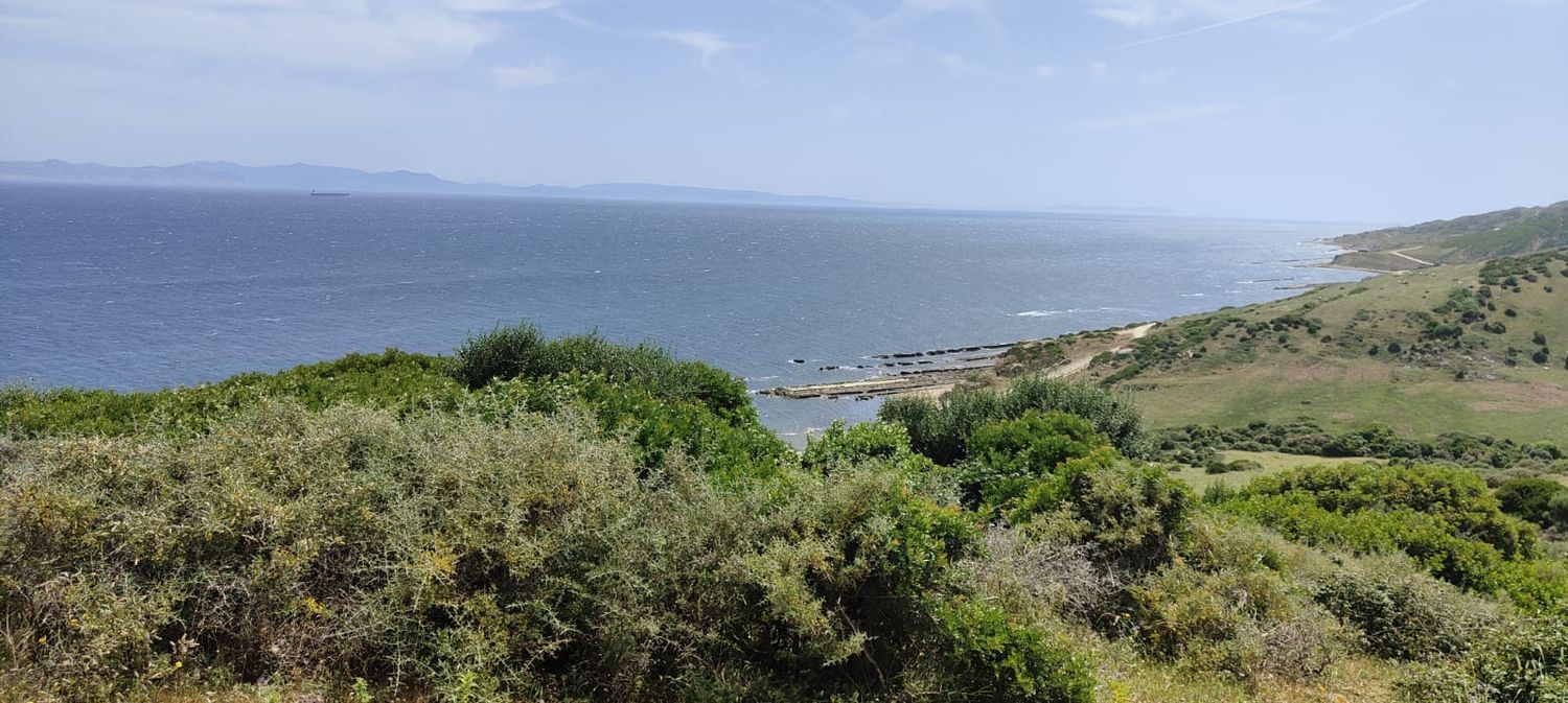 REF. LZ270626TAR – Inmueble en Tarifa