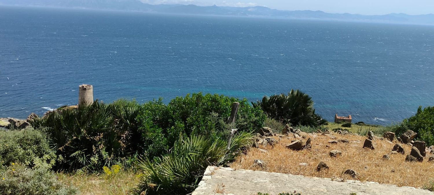 REF. LZ270626TAR – Inmueble en Tarifa