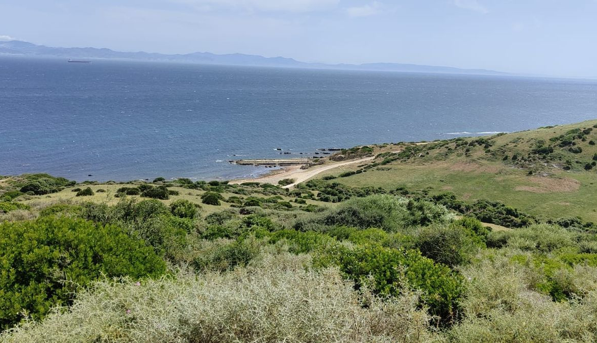 REF. LZ270626TAR – Inmueble en Tarifa