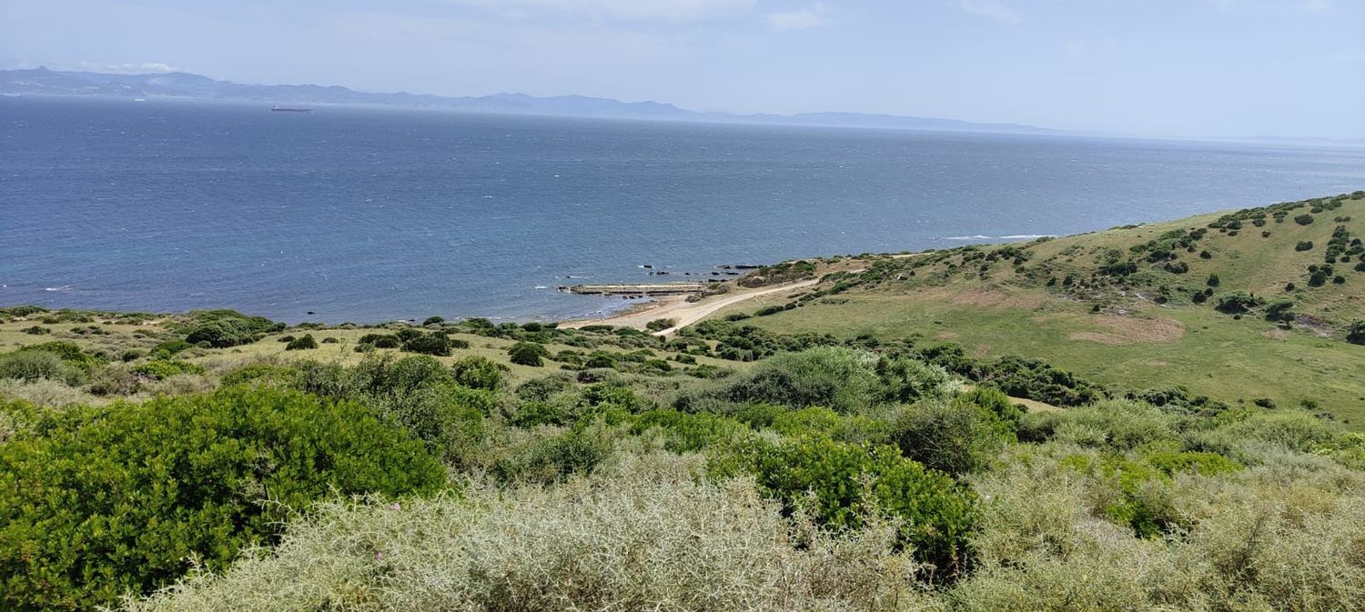 REF. LZ270626TAR – Inmueble en Tarifa