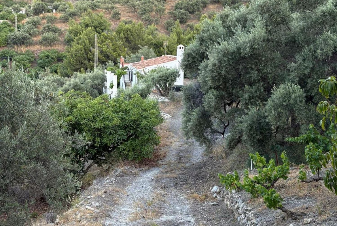 REF. SP080626FRI – Inmueble en Frigiliana