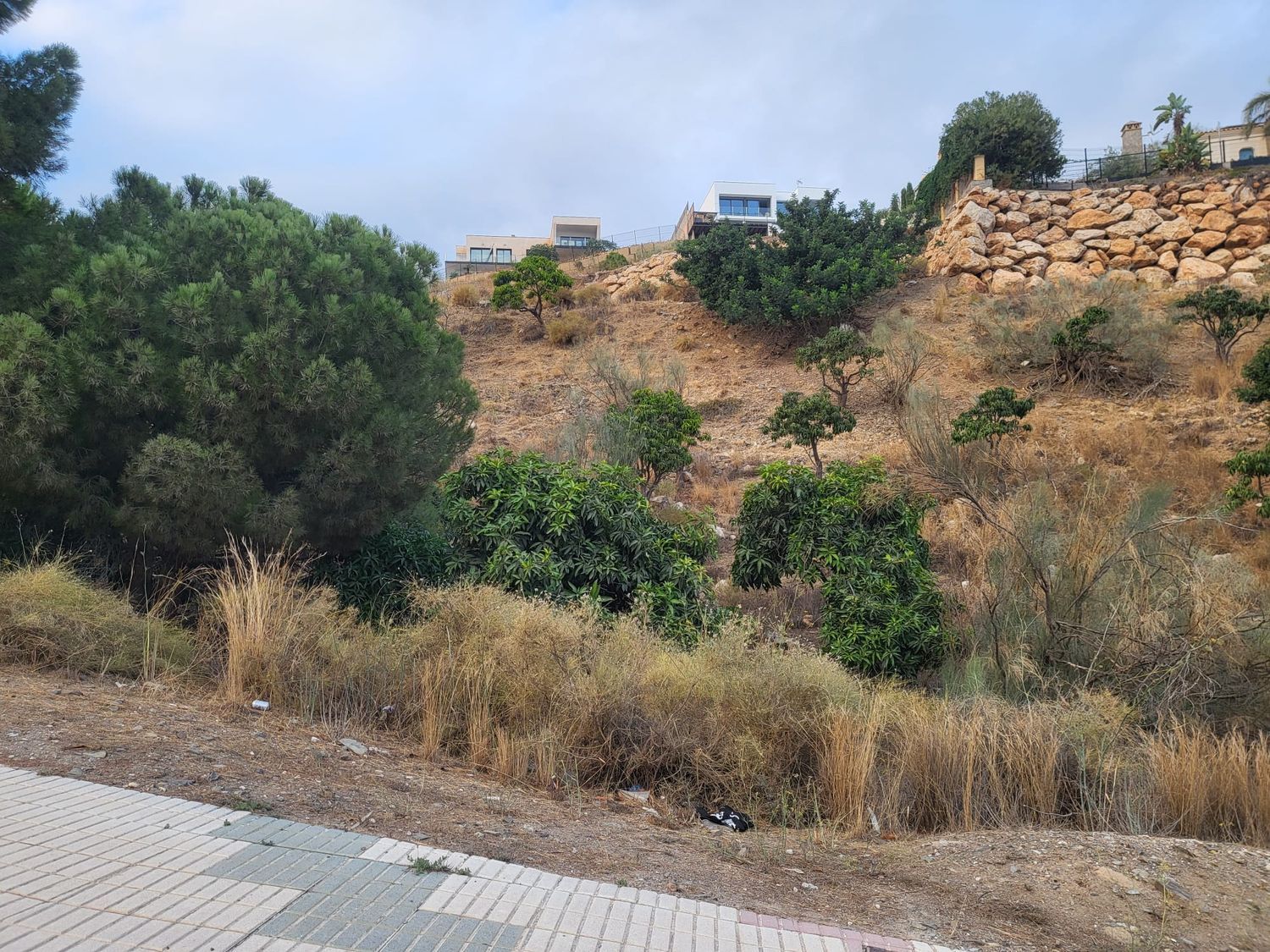 1277197633 REF. DM101024ZEN – Inmueble en Lo Cea – Los Cortijos