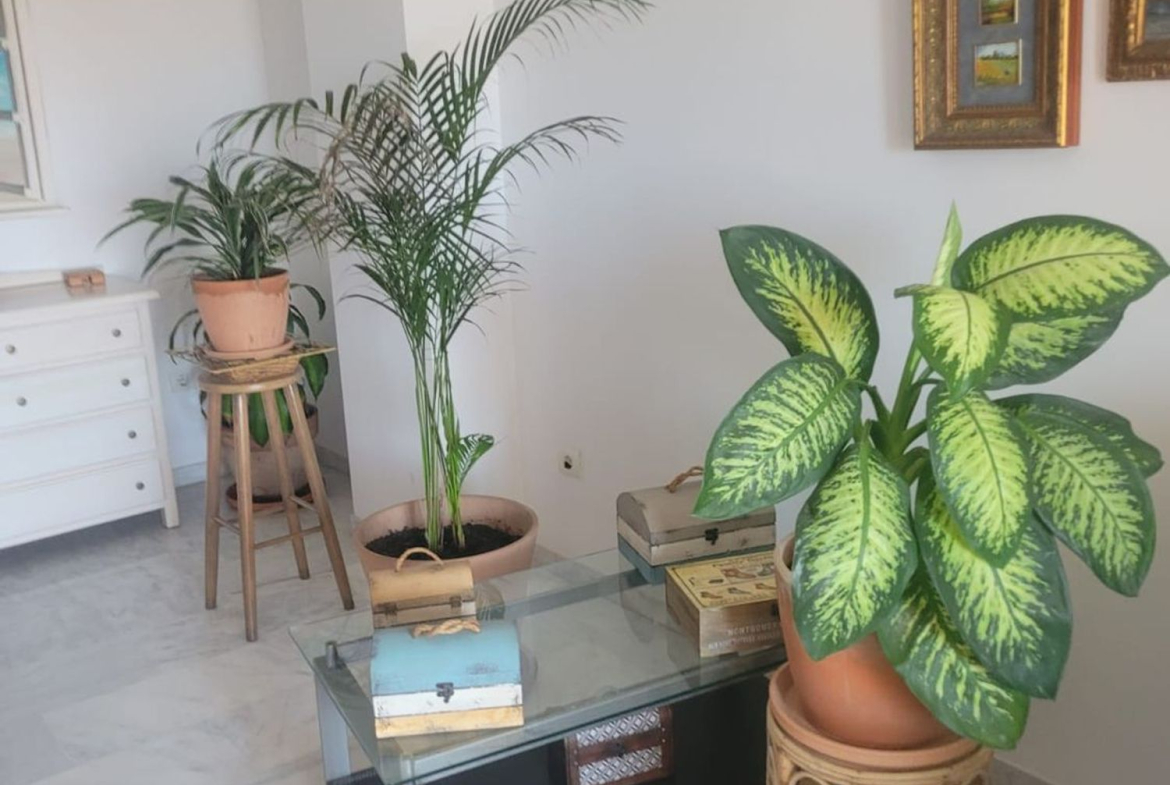 REF. DM240925CM – Inmueble en La Cala del Moral