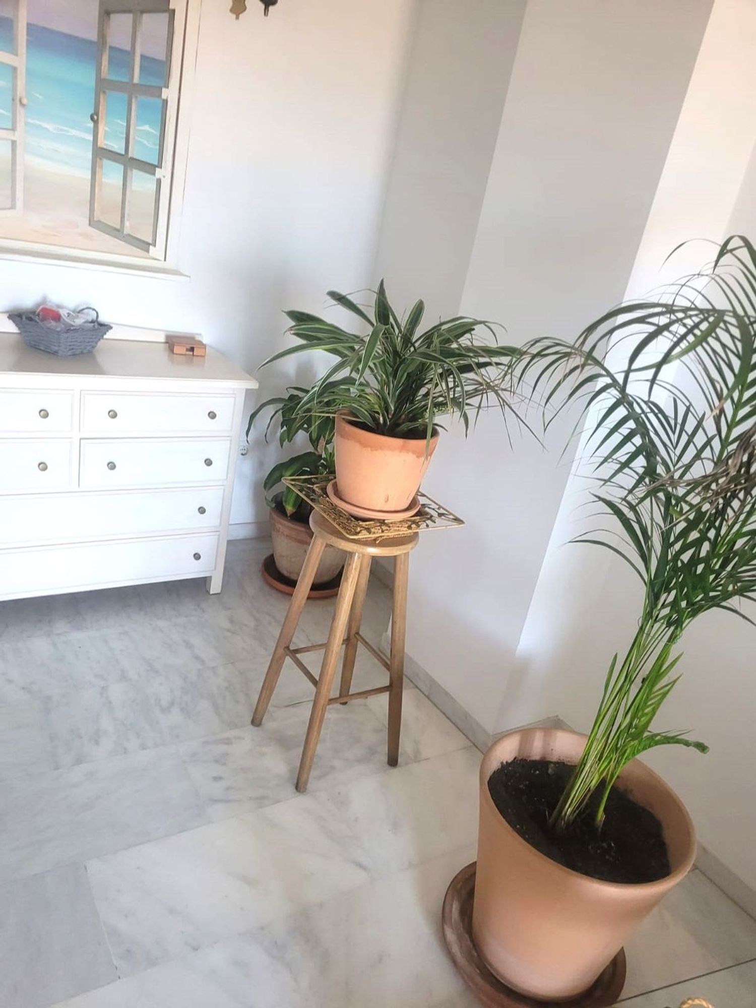 REF. DM240925CM – Inmueble en La Cala del Moral