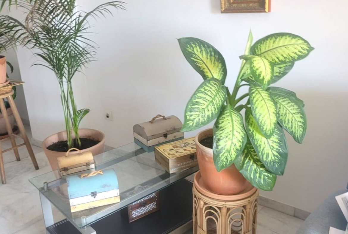 REF. DM240925CM – Inmueble en La Cala del Moral
