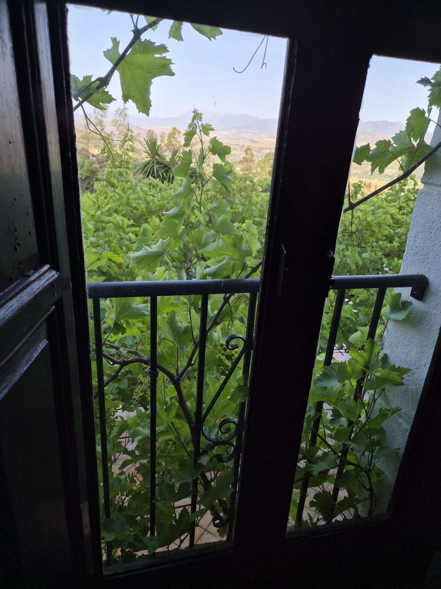 1449240474 REF. JS010426ALO – Inmueble en Alora