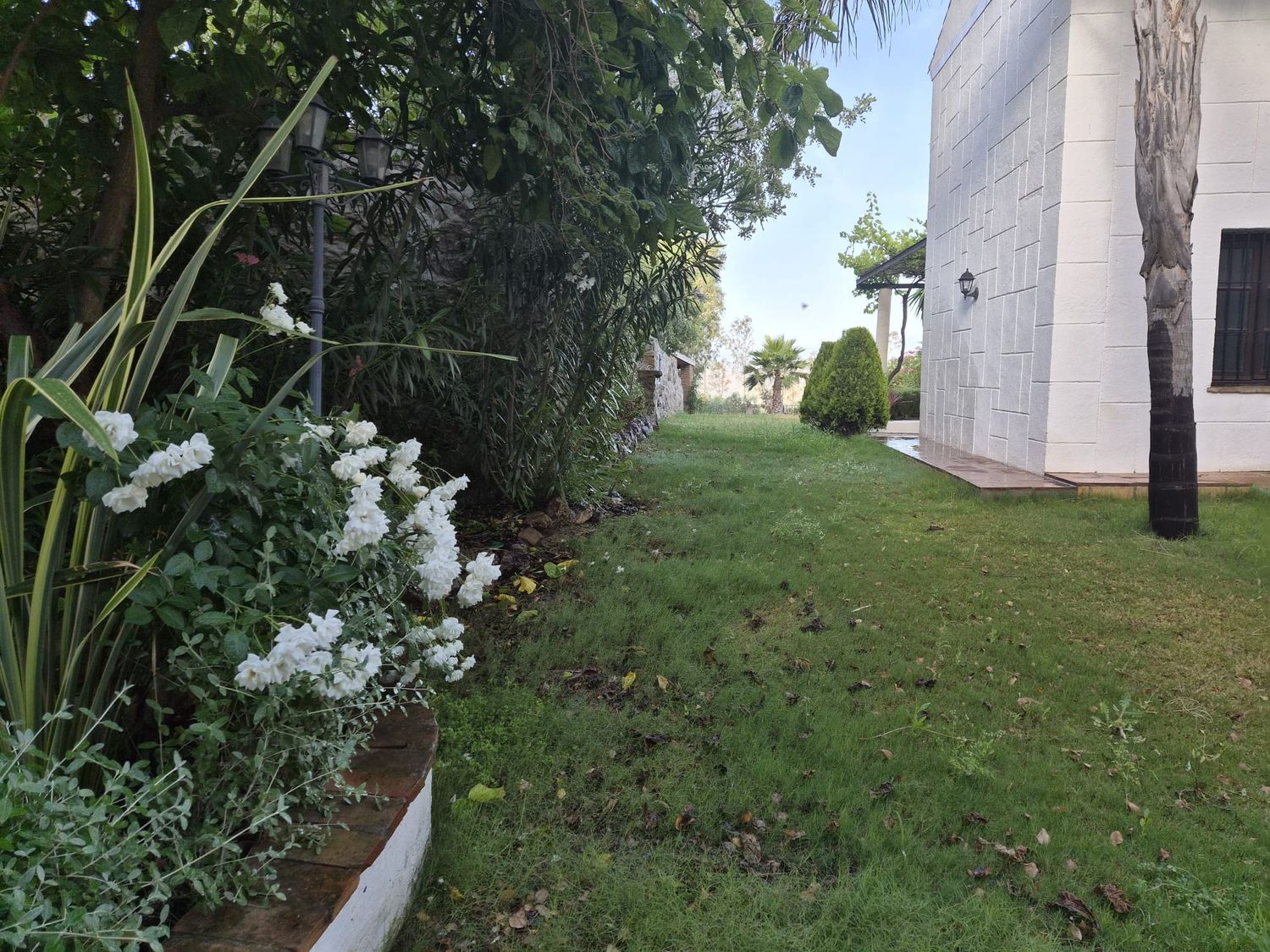1449240495 REF. JS010426ALO – Inmueble en Alora