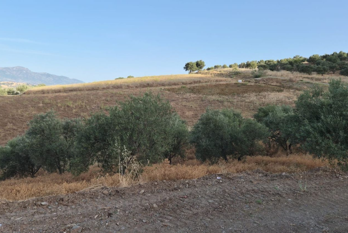 REF. DM180626PI – Inmueble en Pizarra