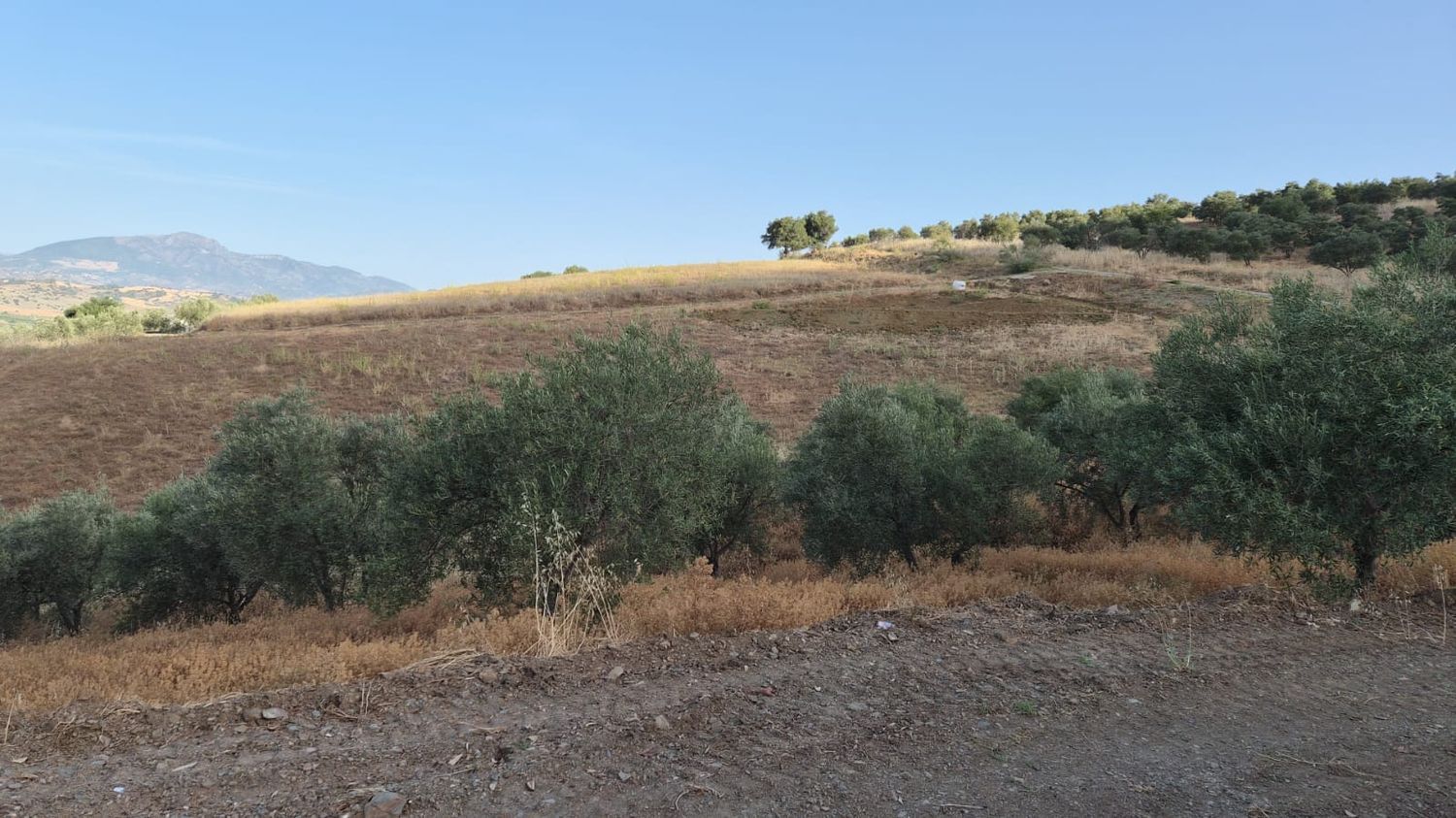 REF. DM180626PI – Inmueble en Pizarra