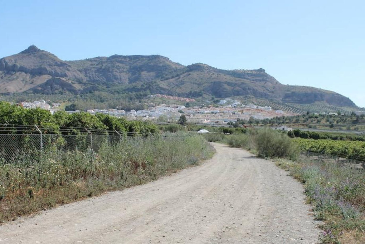 REF. DM180626PI – Inmueble en Pizarra