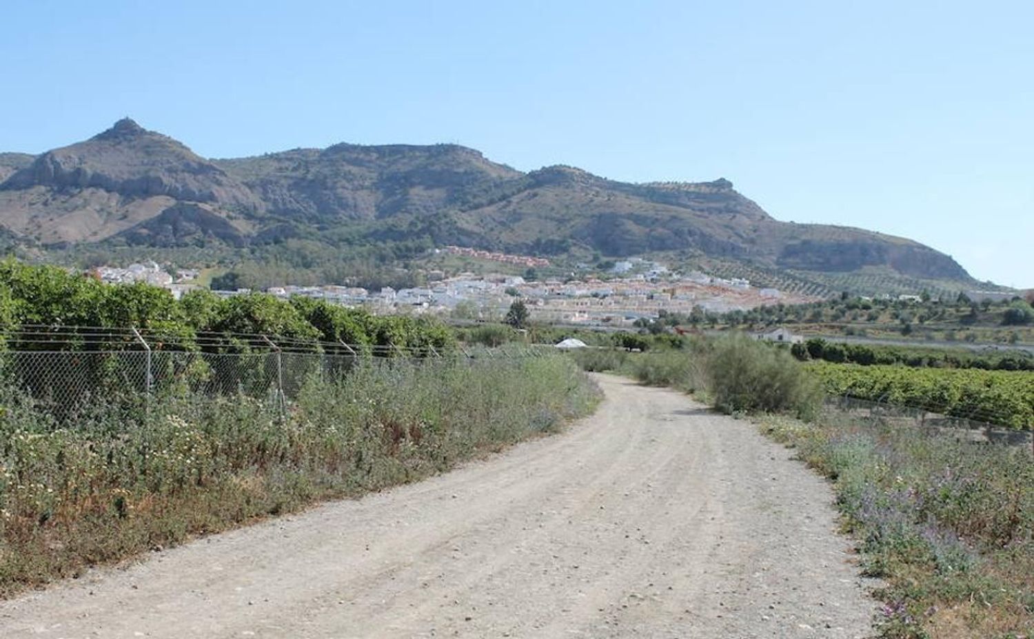 REF. DM180626PI – Inmueble en Pizarra