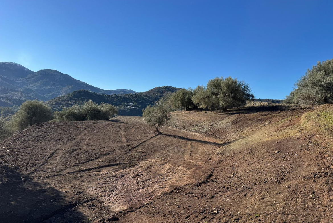 REF. DK260626CO – Inmueble en Comares