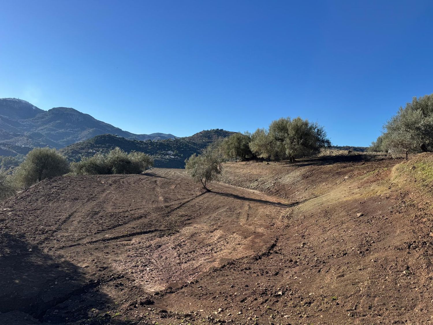 REF. DK260626CO – Inmueble en Comares