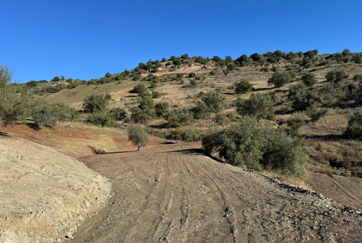 REF. DK260626CO – Inmueble en Comares