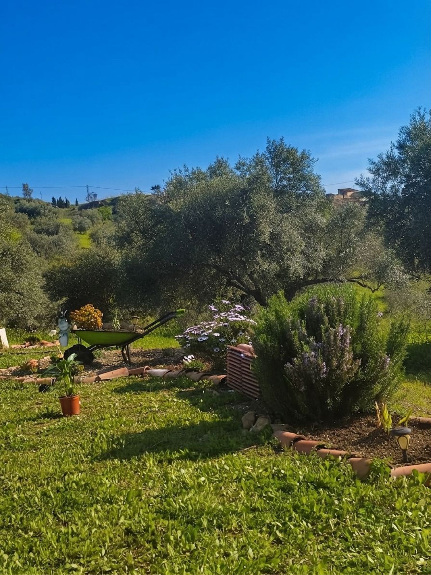 1461041180 REF. JS310726ALO – Inmueble en Alora