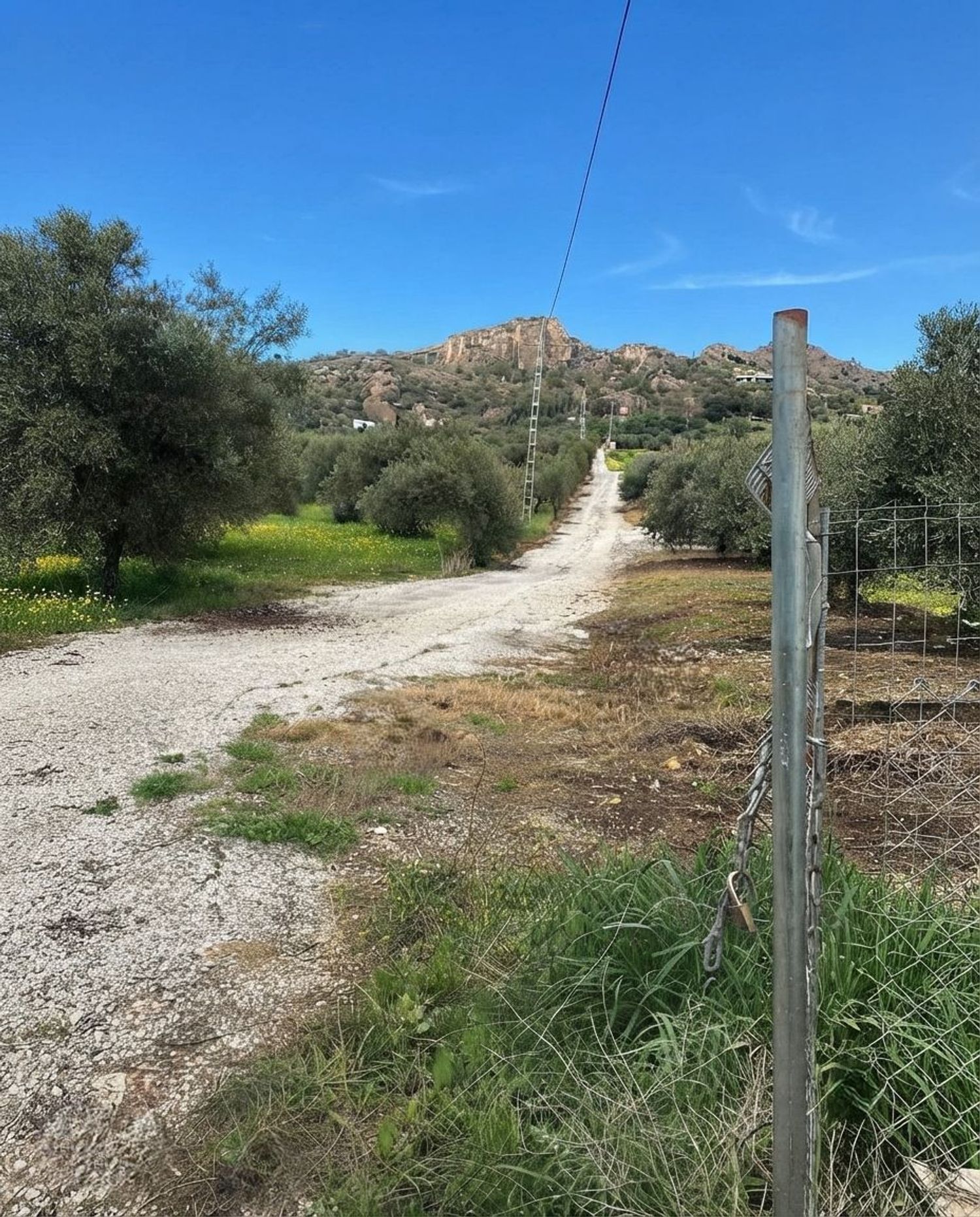 1461041181 REF. JS310726ALO – Inmueble en Alora
