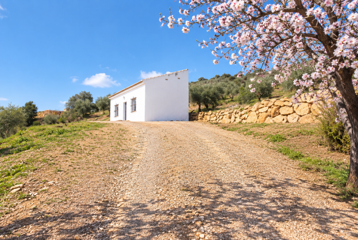 Ref. DK011026VC – Finca Rustica en Villanueva de la Concepción
