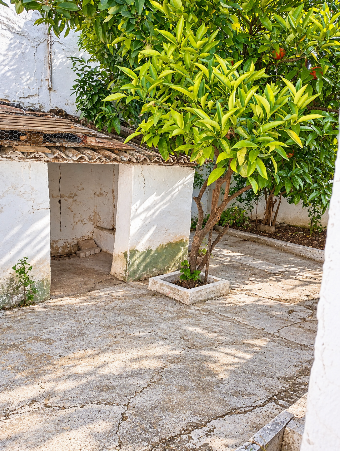 31 Art Ref. JS151026AR – Casa con parcela en Arriate
