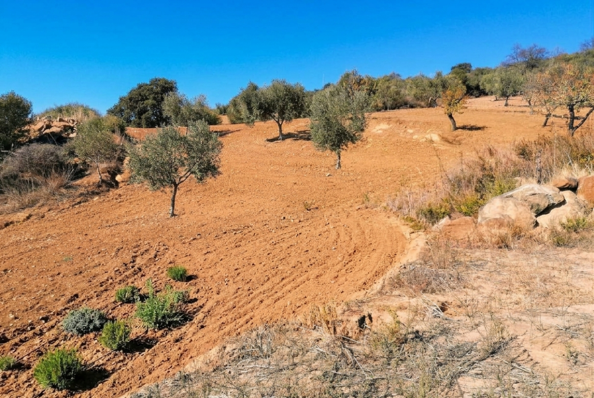 Ref. DK011026VC – Finca Rustica en Villanueva de la Concepción