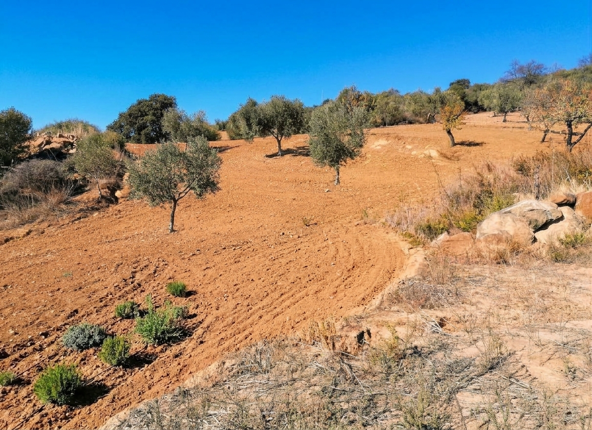 Ref. DK011026VC – Finca Rustica en Villanueva de la Concepción
