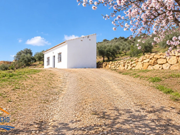 Ref. DK011026VC – Finca Rustica en Villanueva de la Concepción